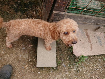 f:id:roukenhome-ann:20190705193235j:plain