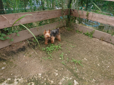 f:id:roukenhome-ann:20190705193246j:plain
