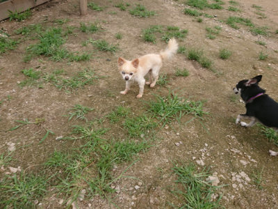 f:id:roukenhome-ann:20190705193256j:plain
