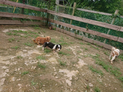 f:id:roukenhome-ann:20190705193318j:plain