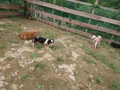 f:id:roukenhome-ann:20190705193326j:plain