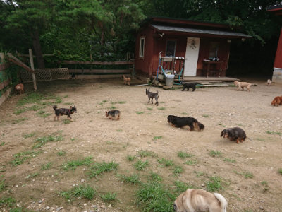 f:id:roukenhome-ann:20190705193335j:plain