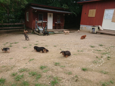 f:id:roukenhome-ann:20190705193342j:plain