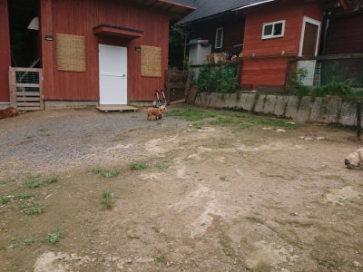 f:id:roukenhome-ann:20190705193352j:plain