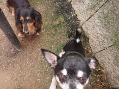 f:id:roukenhome-ann:20190705200718j:plain