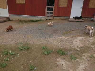 f:id:roukenhome-ann:20190705200728j:plain