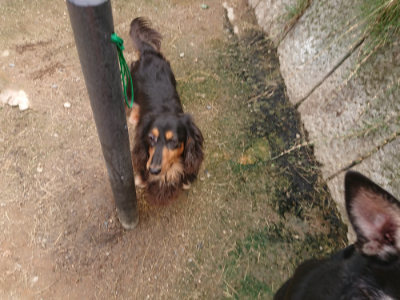f:id:roukenhome-ann:20190705200753j:plain