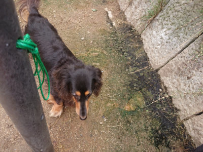 f:id:roukenhome-ann:20190705200931j:plain