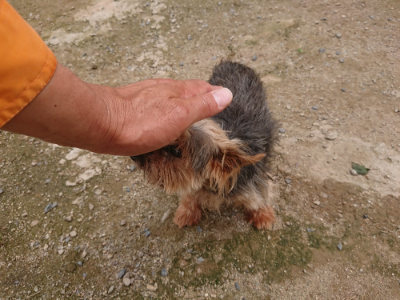 f:id:roukenhome-ann:20190705200941j:plain