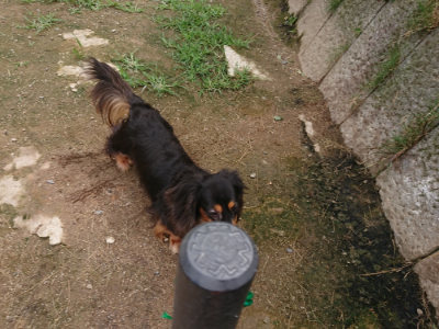 f:id:roukenhome-ann:20190705200958j:plain