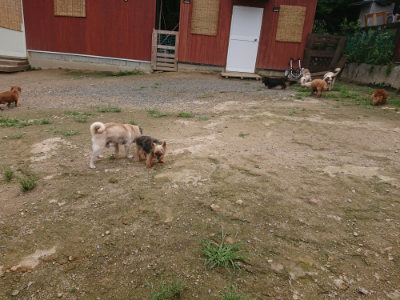 f:id:roukenhome-ann:20190705201004j:plain