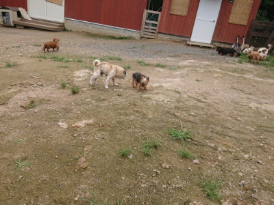 f:id:roukenhome-ann:20190705201034j:plain