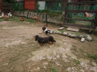 f:id:roukenhome-ann:20190705201050j:plain