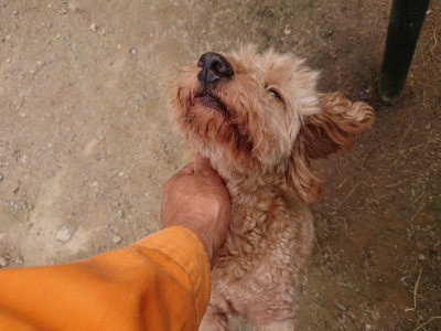 f:id:roukenhome-ann:20190705201115j:plain