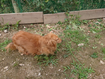 f:id:roukenhome-ann:20190705201137j:plain