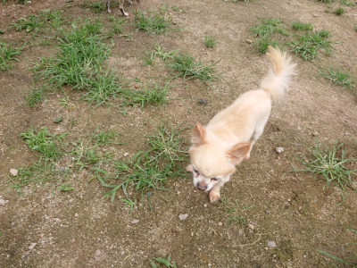 f:id:roukenhome-ann:20190705201202j:plain