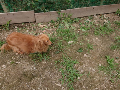 f:id:roukenhome-ann:20190705201207j:plain