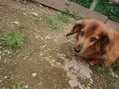 f:id:roukenhome-ann:20190705201225j:plain