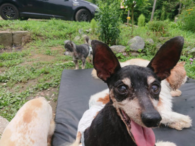 f:id:roukenhome-ann:20190705201428j:plain