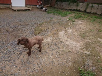 f:id:roukenhome-ann:20190705201434j:plain