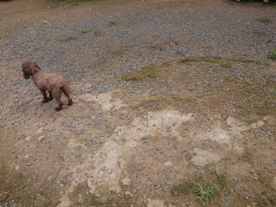 f:id:roukenhome-ann:20190705201501j:plain
