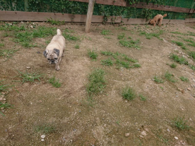 f:id:roukenhome-ann:20190705201540j:plain