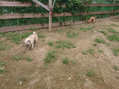 f:id:roukenhome-ann:20190705201557j:plain