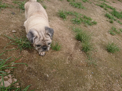 f:id:roukenhome-ann:20190705201614j:plain
