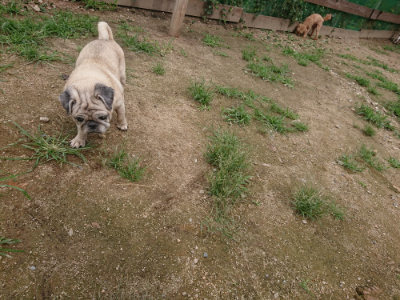 f:id:roukenhome-ann:20190705201635j:plain