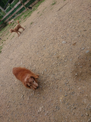 f:id:roukenhome-ann:20190705201722j:plain