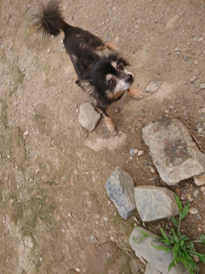 f:id:roukenhome-ann:20190705201800j:plain