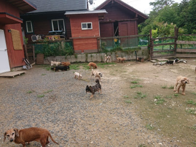 f:id:roukenhome-ann:20190705201807j:plain