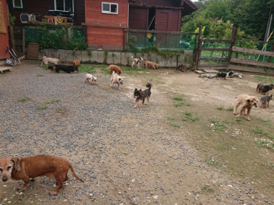 f:id:roukenhome-ann:20190705201824j:plain