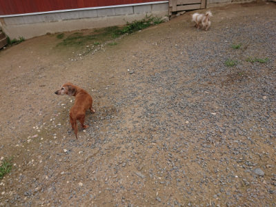 f:id:roukenhome-ann:20190705201840j:plain