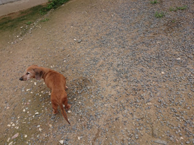 f:id:roukenhome-ann:20190705201846j:plain