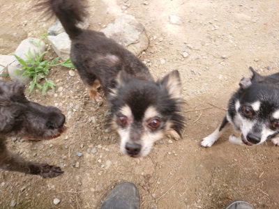 f:id:roukenhome-ann:20190705201917j:plain