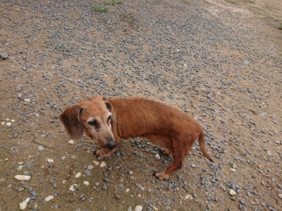 f:id:roukenhome-ann:20190705201938j:plain
