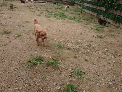f:id:roukenhome-ann:20190705202424j:plain