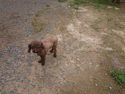 f:id:roukenhome-ann:20190705202454j:plain