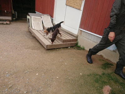 f:id:roukenhome-ann:20190705202534j:plain