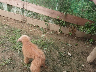 f:id:roukenhome-ann:20190705202546j:plain