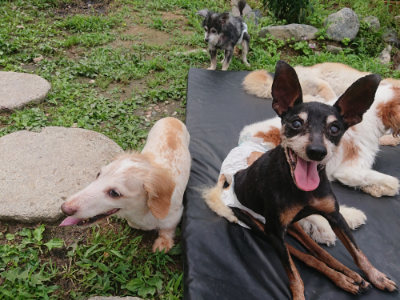 f:id:roukenhome-ann:20190705202610j:plain