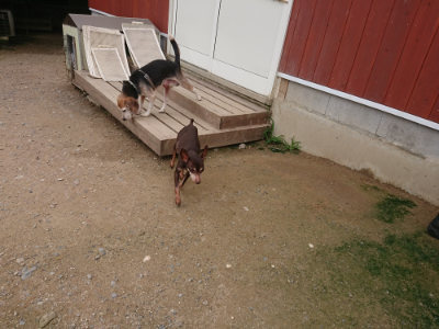 f:id:roukenhome-ann:20190705202638j:plain