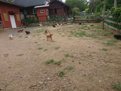 f:id:roukenhome-ann:20190705202649j:plain