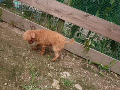 f:id:roukenhome-ann:20190705202811j:plain