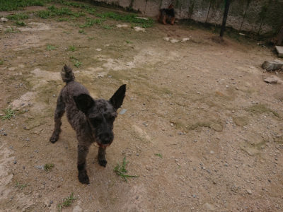 f:id:roukenhome-ann:20190705202827j:plain