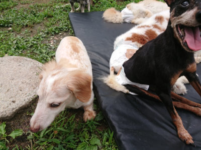 f:id:roukenhome-ann:20190705202833j:plain