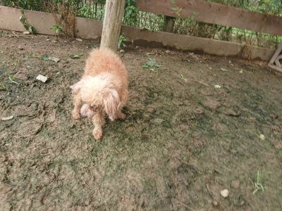 f:id:roukenhome-ann:20190705202851j:plain