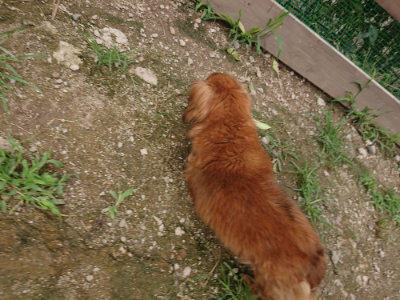 f:id:roukenhome-ann:20190705202916j:plain