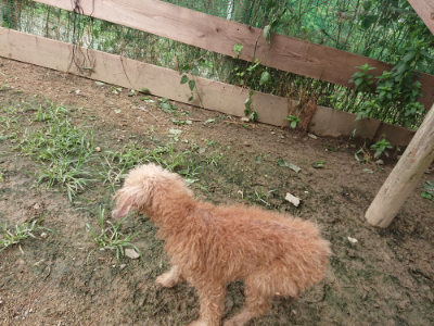 f:id:roukenhome-ann:20190705202922j:plain